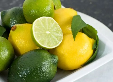 https://shp.aradbranding.com/قیمت لیمو ترش پوست نازک + خرید باور نکردنی